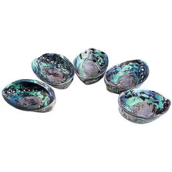 1pc Aabalone Seashells Smudging Natural Sea Shell Home Decoration & Cleansing Starter Kit 15-16cm
1pc Aabalone Seashells Smudging Natural Sea Shell Home Decoration & Cleansing Starter Kit 15-16cm