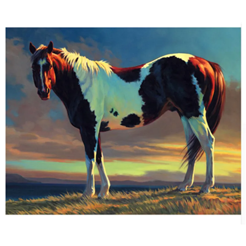Painting By Numbers DIY Dropshipping 40x50 50x65cm group of horses and grassla Animal Canvas Wedding Decoration Art picture Gif
Painting By Numbers DIY Dropshipping 40x50 50x65cm group of horses and grassla Animal Canvas Wedding Decoration Art picture Gif