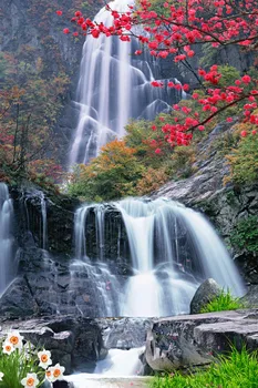 Photo Customize size 3D Curtain Waterfall Landscape Flowers Blackout Shade Window Curtains Bathroom Curtain
Photo Customize size 3D Curtain Waterfall Landscape Flowers Blackout Shade Window Curtains Bathroom Curtain