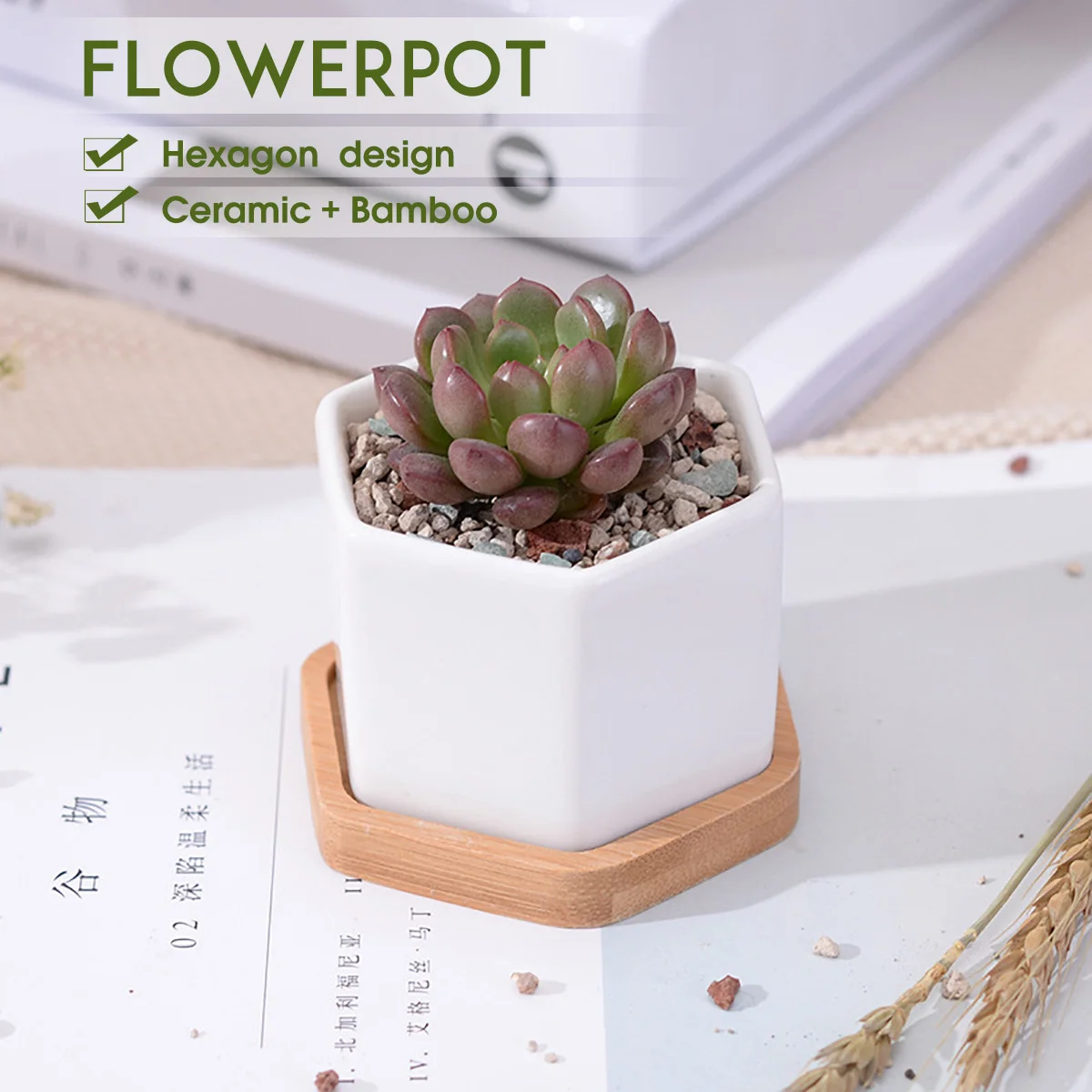 Hexagon Ceramic Flower Pot Planter Bonsai Tray Succulent Plant Cactus Vase with Bamboo Tray Home Garden Decor
Hexagon Ceramic Flower Pot Planter Bonsai Tray Succulent Plant Cactus Vase with Bamboo Tray Home Garden Decor