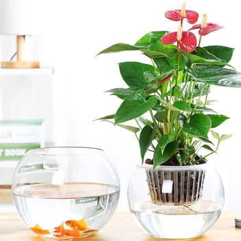 27pcs/pack Diameter=12cm Middle Size Flat Mouth Glass Ball Terrarium Landscape Container Fashion Glass Fish Bowl Home Decorative
27pcs/pack Diameter=12cm Middle Size Flat Mouth Glass Ball Terrarium Landscape Container Fashion Glass Fish Bowl Home Decorative