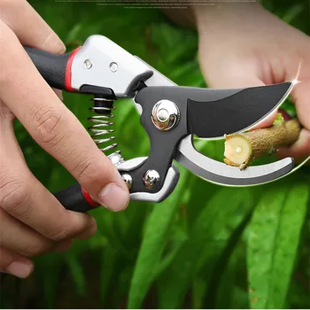 High quality 8 inch pruning shears fruit trees and plants grafting pruner flower scissors garden tools
High quality 8 inch pruning shears fruit trees and plants grafting pruner flower scissors garden tools