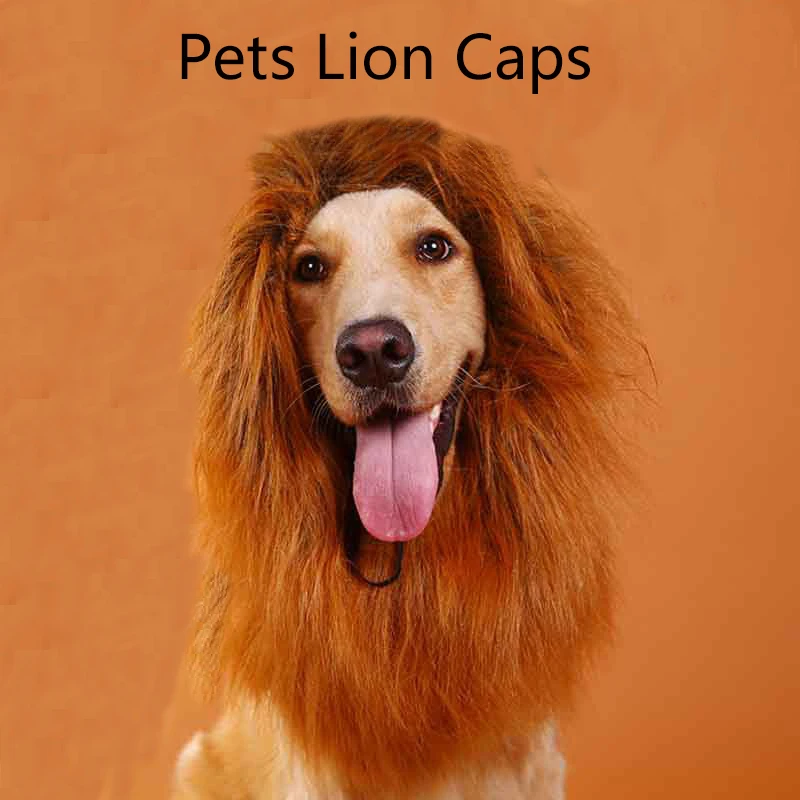 Halloween Dog Caps Lion Accessories Wigs For Small Puppy Cats Cosplay Hat Christmas Funny Pets Toys Hair Loop Head Products
Halloween Dog Caps Lion Accessories Wigs For Small Puppy Cats Cosplay Hat Christmas Funny Pets Toys Hair Loop Head Products