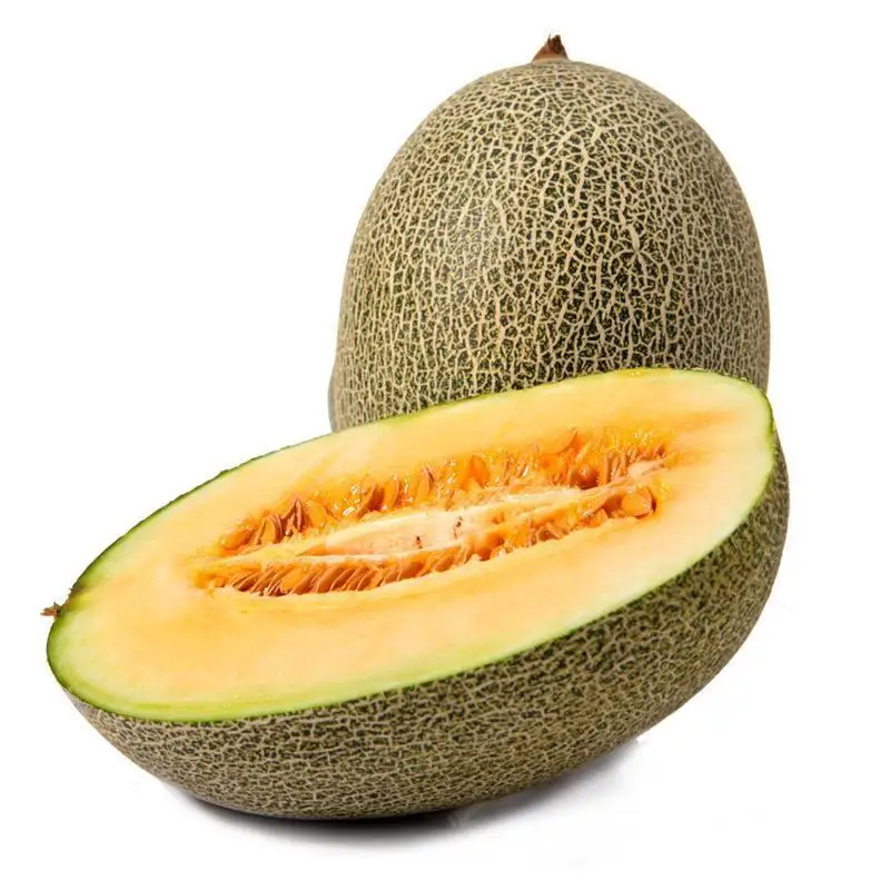 2016 Hot Chinese Honey Melon Aragon (Cucumis melo) 100 100% True Hami melon Professional Packing
2016 Hot Chinese Honey Melon Aragon (Cucumis melo) 100 100% True Hami melon Professional Packing