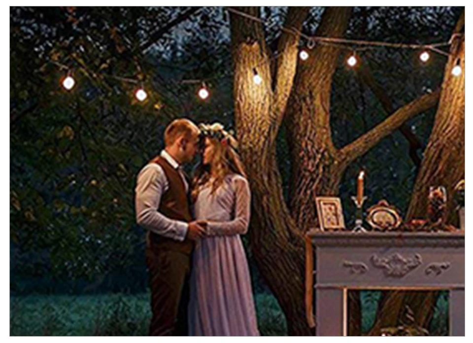 solar led string light balls (15)