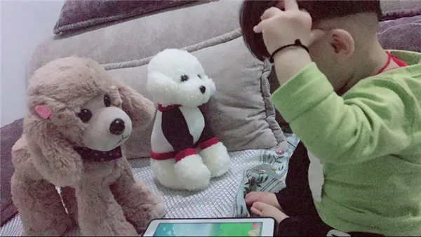 Cute Dog plush toys Poodle Bichon Frise puppy stuffed warm animal toys - Buyer's Show 15