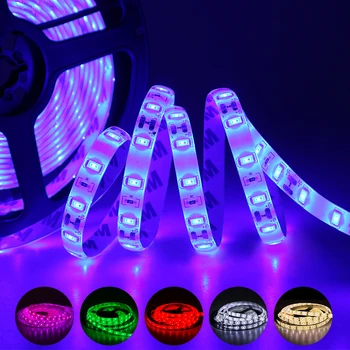 12V led strip light SMD 5630 5730 Non waterproof IP20 Waterproof DC 12V 60leds/m warm white/white LED flexible tape
12V led strip light SMD 5630 5730 Non waterproof IP20 Waterproof DC 12V 60leds/m warm white/white LED flexible tape