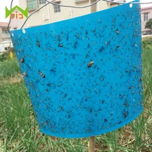 WCIC כפול צדדי דבק מדבקות המושך כנימה חרקים רוצח הדברה כנימות חזק זבובי מלכודות חרקים דביק לוח(China)