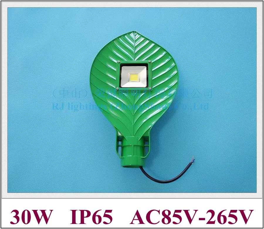 30W leaf shape LED street light lamp LED road light waterproof IP65 30W AC85V-265V input die-cast aluminum leaf style RJ-LS-K
30W leaf shape LED street light lamp LED road light waterproof IP65 30W AC85V-265V input die-cast aluminum leaf style RJ-LS-K