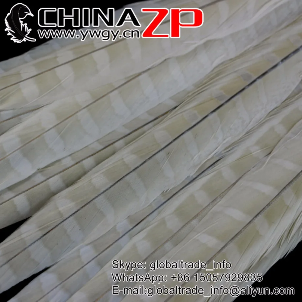 Made in CHINAZP Factory 100pcs/lot 12inch ~14inch (30-35cm) Bleached white Ringneck Pheasant Tail Feathers
Made in CHINAZP Factory 100pcs/lot 12inch ~14inch (30-35cm) Bleached white Ringneck Pheasant Tail Feathers