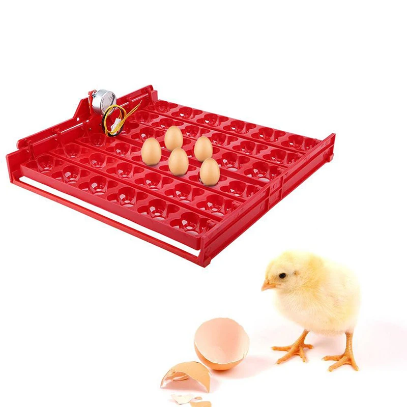 36 Eggs/144 Bird Eggs Incubator Hatcher Mini Hatchery Egg Incubator Hatcher Fully-automatic Egg Turning Tray Tool
36 Eggs/144 Bird Eggs Incubator Hatcher Mini Hatchery Egg Incubator Hatcher Fully-automatic Egg Turning Tray Tool