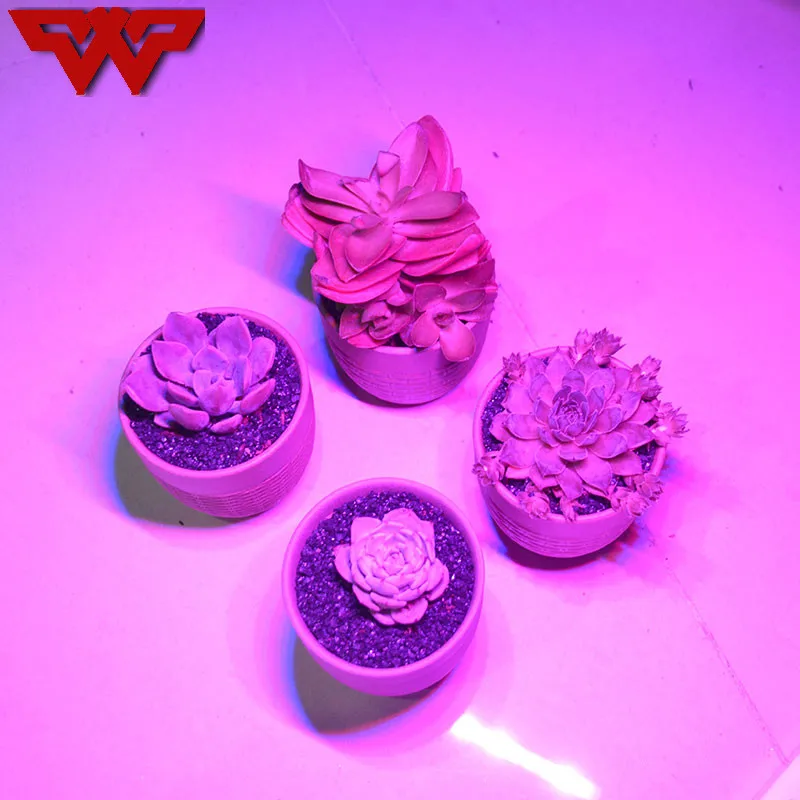 WOOTOP USB LED Plant Growth Lamp 5V 3W Full Spectrum Lights Silvery Body For Hydroponics System Greenhouse Green Plant
WOOTOP USB LED Plant Growth Lamp 5V 3W Full Spectrum Lights Silvery Body For Hydroponics System Greenhouse Green Plant