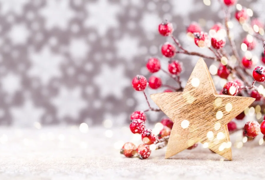 Laeacco Christmas Light Bokeh Star Snow Baby Children Photography Backgrounds Customized Photographic Backdrops For Photo Studio
Laeacco Christmas Light Bokeh Star Snow Baby Children Photography Backgrounds Customized Photographic Backdrops For Photo Studio