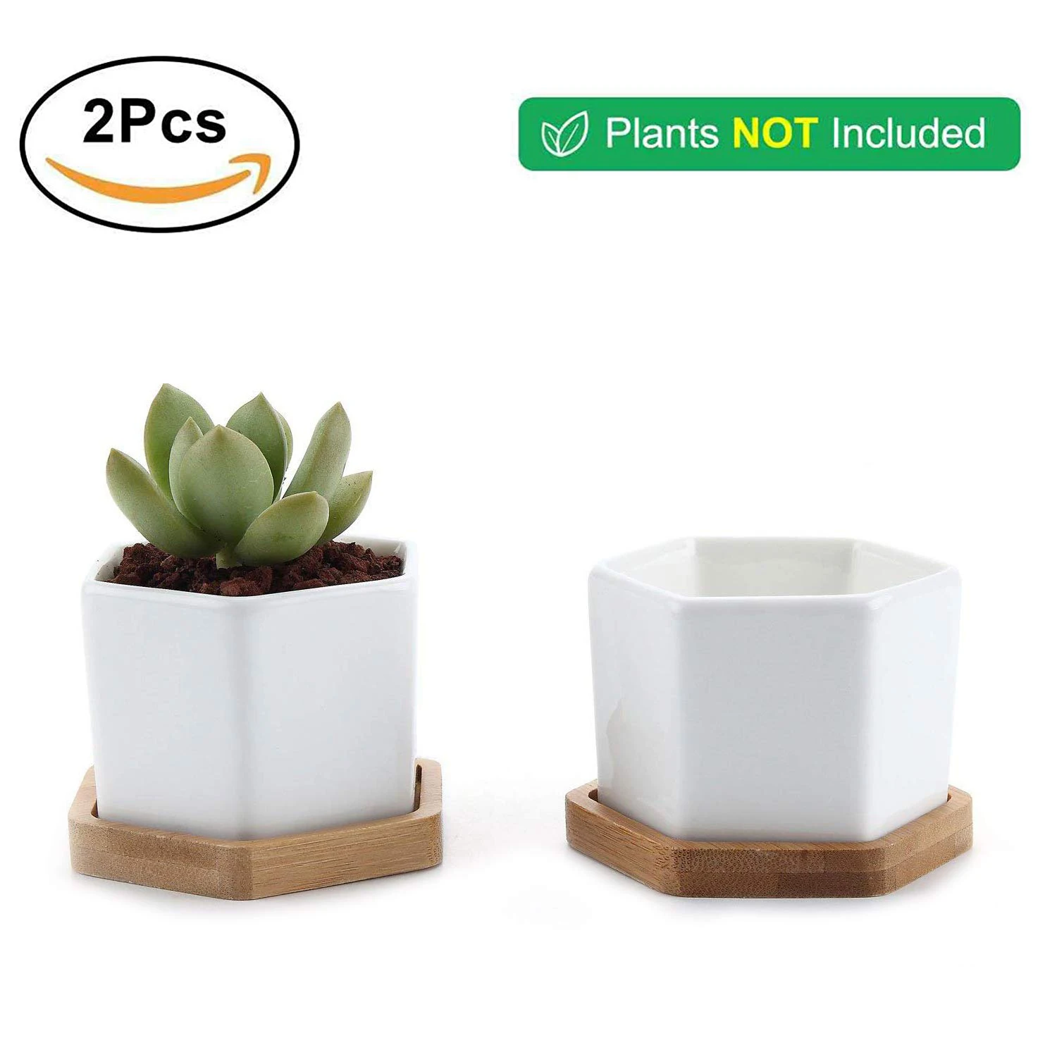 Nordic decoration home plant Ceramic flower pot cactus Succulent Planter Pots with Bamboo Tray for garden Decoration 2pcs/lot
Nordic decoration home plant Ceramic flower pot cactus Succulent Planter Pots with Bamboo Tray for garden Decoration 2pcs/lot