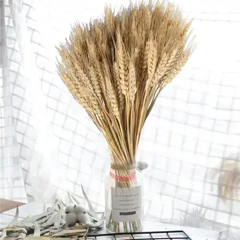 100pcs Large Wheat Dried Flowers Garden Plants Natural Primary Colors Real Wheat For Wedding Decorations Dried Flowers Props
100pcs Large Wheat Dried Flowers Garden Plants Natural Primary Colors Real Wheat For Wedding Decorations Dried Flowers Props