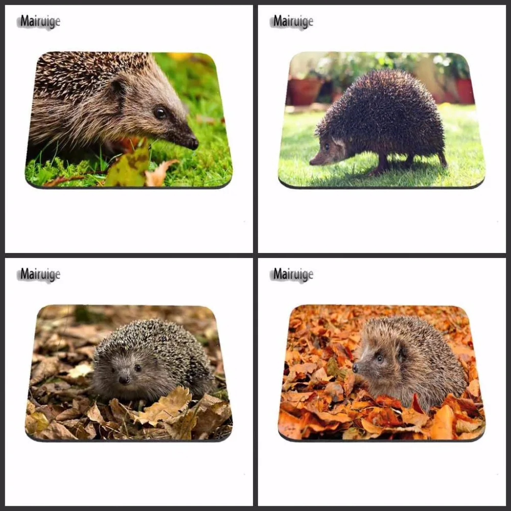 Cute Hedgehog Personalized Durable Cartoon Design With Colored Suit Custom Mousepad Painting Rubber Aming Mouse Pad Mat
Cute Hedgehog Personalized Durable Cartoon Design With Colored Suit Custom Mousepad Painting Rubber Aming Mouse Pad Mat