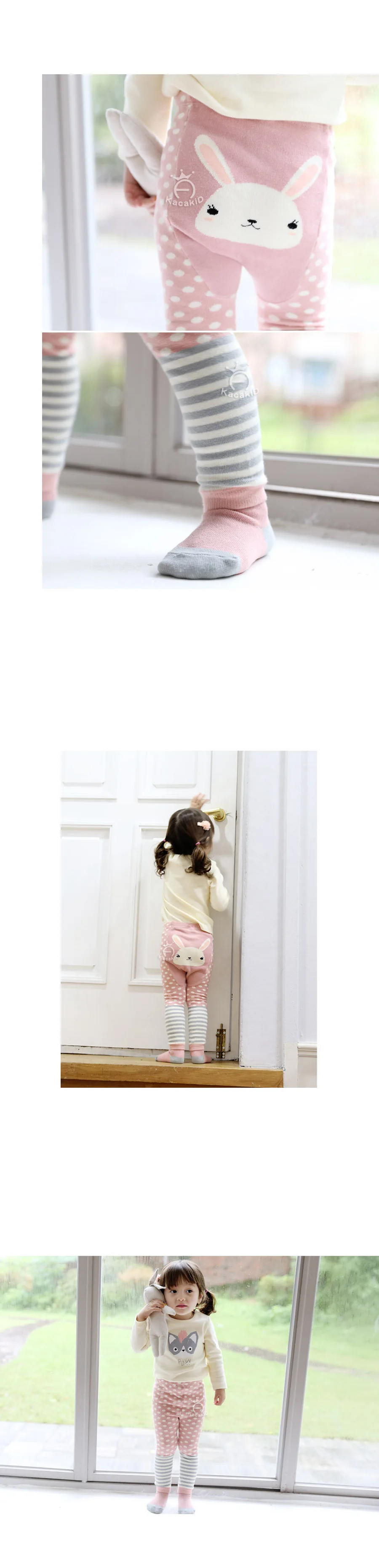 AeProduct.getSubject ()