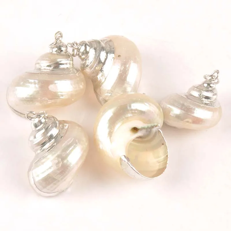 Natural White spiral Shell Silver Plated Conch for Jewelry DIY handmade charms pendant SeaShells decoration 5pcs TRS0332
Natural White spiral Shell Silver Plated Conch for Jewelry DIY handmade charms pendant SeaShells decoration 5pcs TRS0332