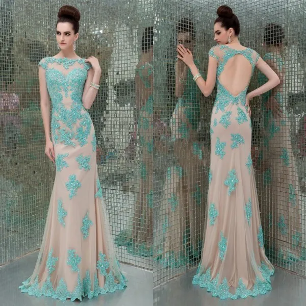 Hot Design Scoop Sheath Tulle Special Occassion Ball Party with Back Keyhole Sleeveless with Appliques Long Prom Dress 2015 
Hot Design Scoop Sheath Tulle Special Occassion Ball Party with Back Keyhole Sleeveless with Appliques Long Prom Dress 2015