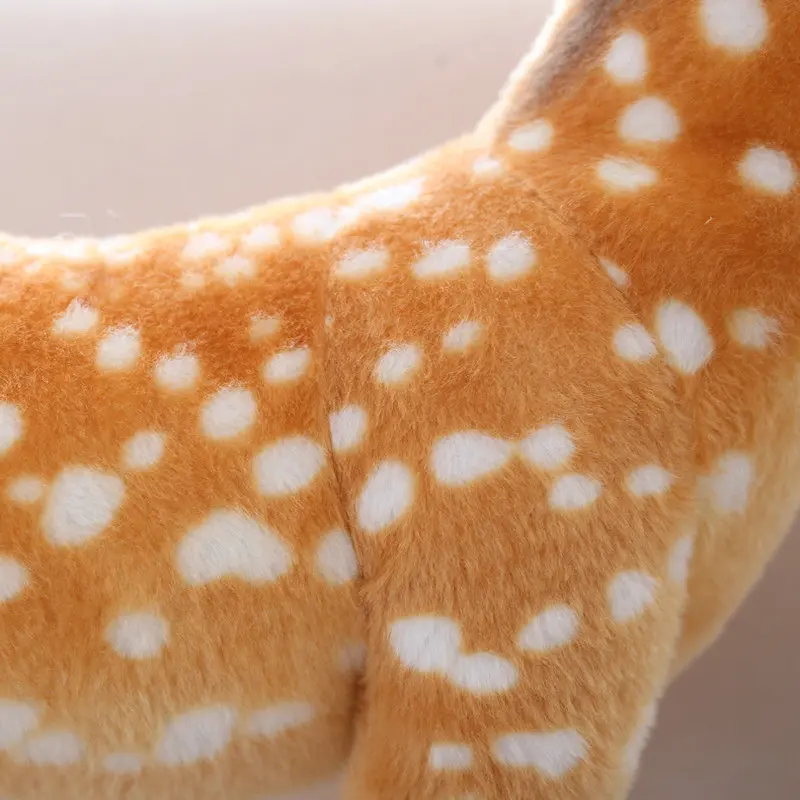 12-1641X2