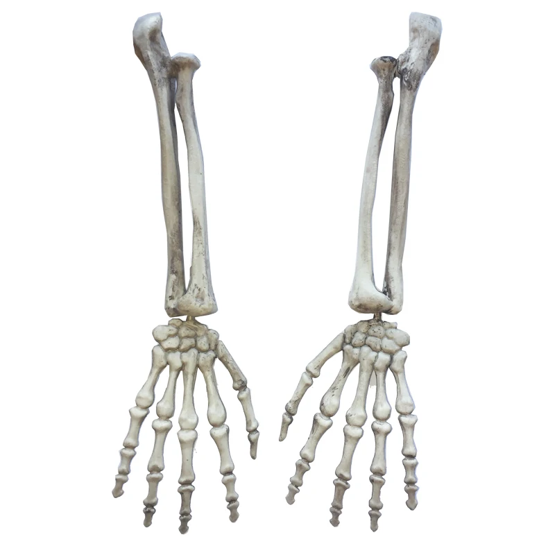Cosplay&ware Plastic Skeleton Arms Witch Hands Haunted Escape Horror Halloween Decorations 6 Cosplay&ware Plastic Skeleton Arms Witch Hands Haunted Escape Horror Halloween Decorations -Cosplayware Store