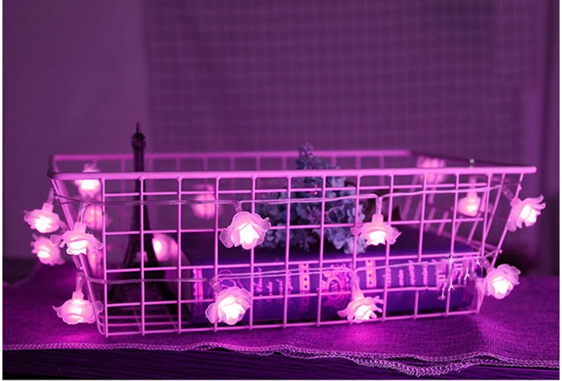 4203581059_1065652494