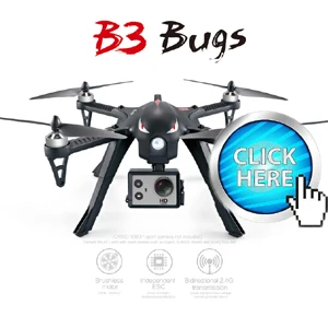 B3