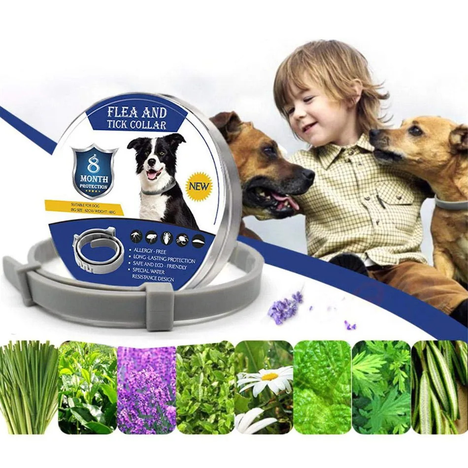 Adjustable Anti Flea Tick Neck Collar for Dog Cat Pet 8 Months Protection Collars Dog Supplies Small Dog Collar
Adjustable Anti Flea Tick Neck Collar for Dog Cat Pet 8 Months Protection Collars Dog Supplies Small Dog Collar