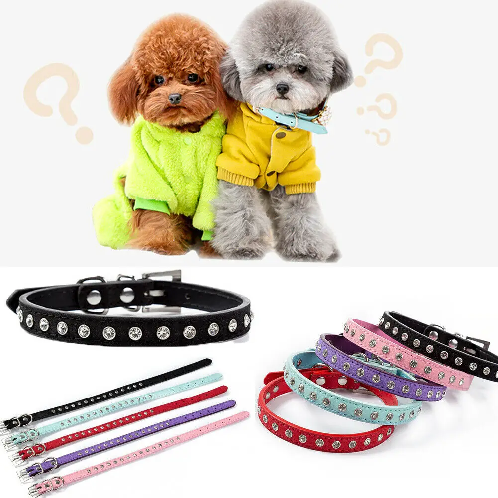 Suede Leather Rhinestone Dog Collar Soft Bling Cat Puppy Small Pet Pet Accessories Crystal Diamond Dog Collar
Suede Leather Rhinestone Dog Collar Soft Bling Cat Puppy Small Pet Pet Accessories Crystal Diamond Dog Collar