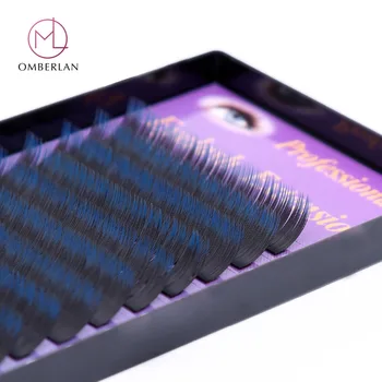 2 Case OMBERLAN Two-Tone Colored C D Curl 11mm 0.15mm Double Color Deep Black Base Blue Tips Eyelashes Extension Wedding
2 Case OMBERLAN Two-Tone Colored C D Curl 11mm 0.15mm Double Color Deep Black Base Blue Tips Eyelashes Extension Wedding