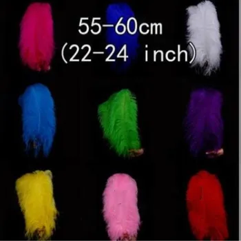 Cheap Sale 55-60 CM /22-24" Large Ostrich Feather Plume DIY Craft Ornament For Wedding Party Table Decoration
Cheap Sale 55-60 CM /22-24" Large Ostrich Feather Plume DIY Craft Ornament For Wedding Party Table Decoration