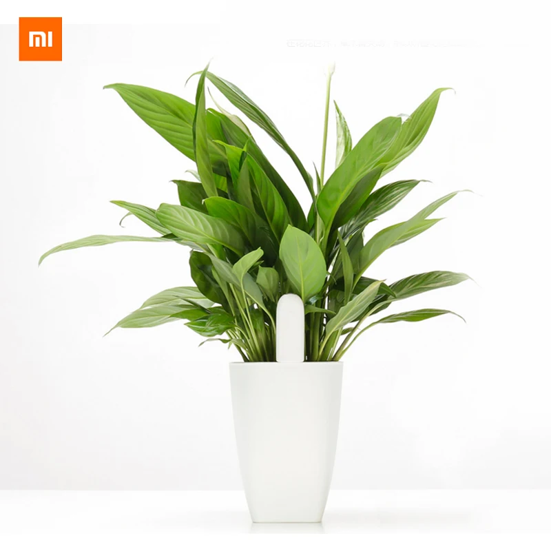 Xiaomi Smart Flower Monitor