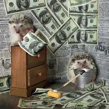 5D DIY Diamond Painting cross stitch Hedgehog Square rhinestone Diamond Embroidery Needlework,pattern banknote home decor
5D DIY Diamond Painting cross stitch Hedgehog Square rhinestone Diamond Embroidery Needlework,pattern banknote home decor