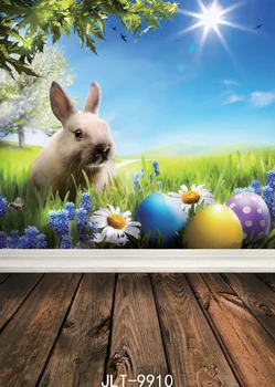 5X10ft Customize photography backdrop newborn easter wood computer print background for photo studio Rabbit spring
5X10ft Customize photography backdrop newborn easter wood computer print background for photo studio Rabbit spring