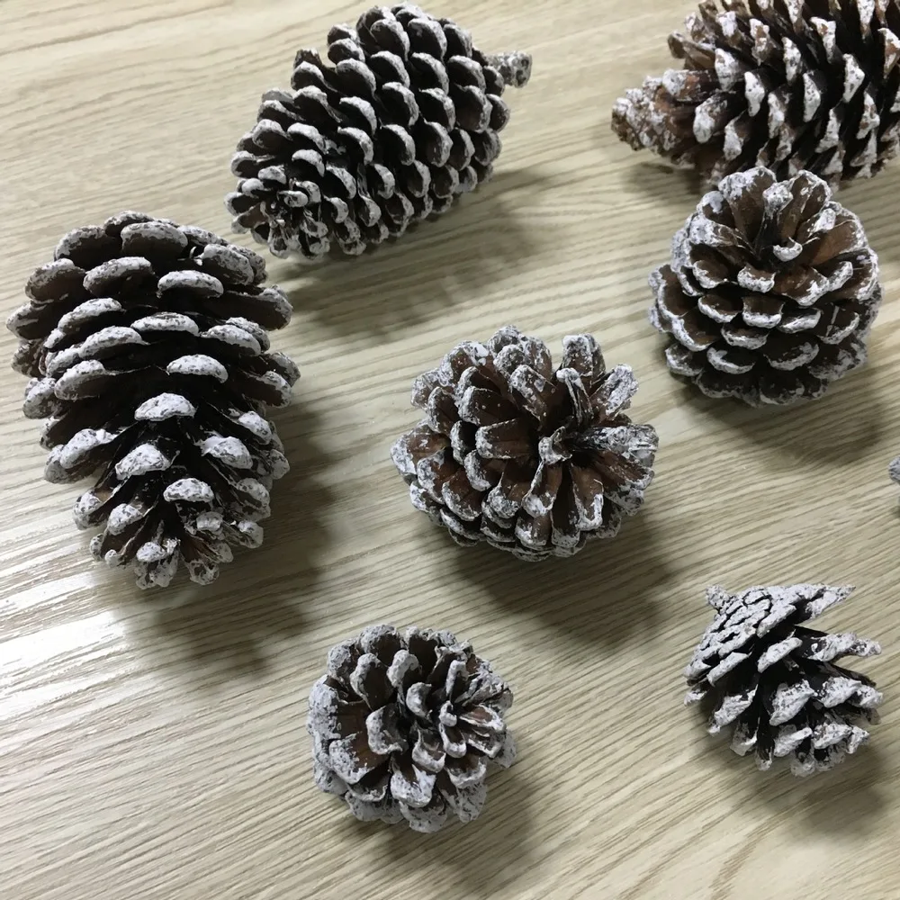 10pcs 3-4cm Christmas Pine Cones Ornament Natural PineCones Pendant Crafts for Gift Tag Christmas Tree Party Hanging Decoration
10pcs 3-4cm Christmas Pine Cones Ornament Natural PineCones Pendant Crafts for Gift Tag Christmas Tree Party Hanging Decoration