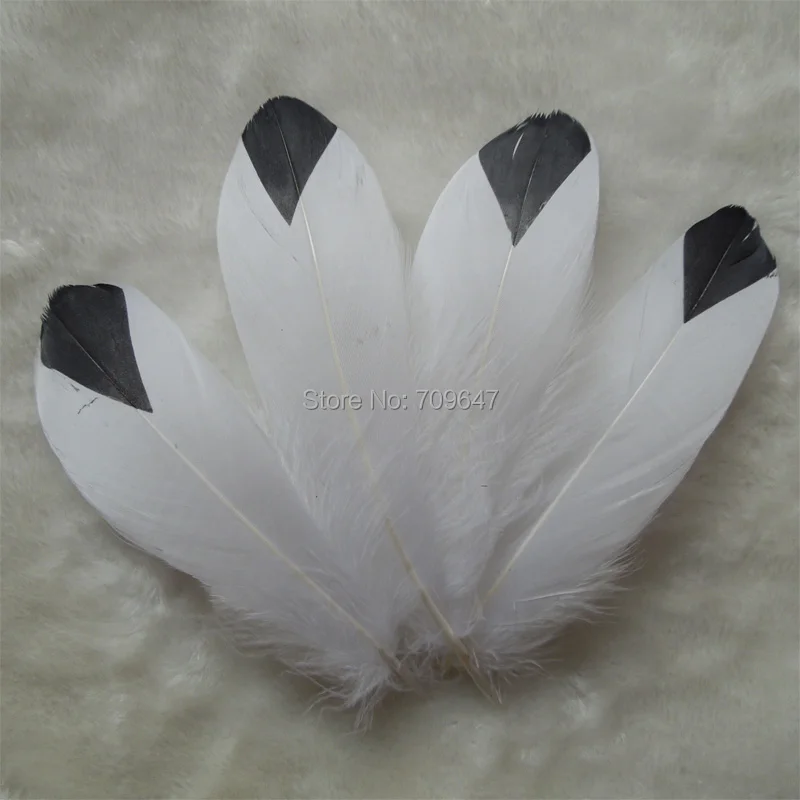 

Natural White Goose Nagorie feathers with Black Painting,real goose painted feathers 12-18cm long 50pcs/lot