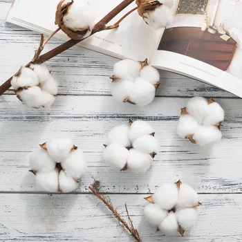 White Cotton Head Artificial Flowers DIY Christmas Wreath Accessories Home Natural Dried Flower Garland Flower Wall Material
White Cotton Head Artificial Flowers DIY Christmas Wreath Accessories Home Natural Dried Flower Garland Flower Wall Material