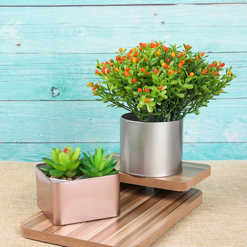 1PC DIY Mini Cake Tin Bonsai Cans Tinplate Candy Container Desktop Ornament Flowerpot Potted Box Home Decor
1PC DIY Mini Cake Tin Bonsai Cans Tinplate Candy Container Desktop Ornament Flowerpot Potted Box Home Decor
