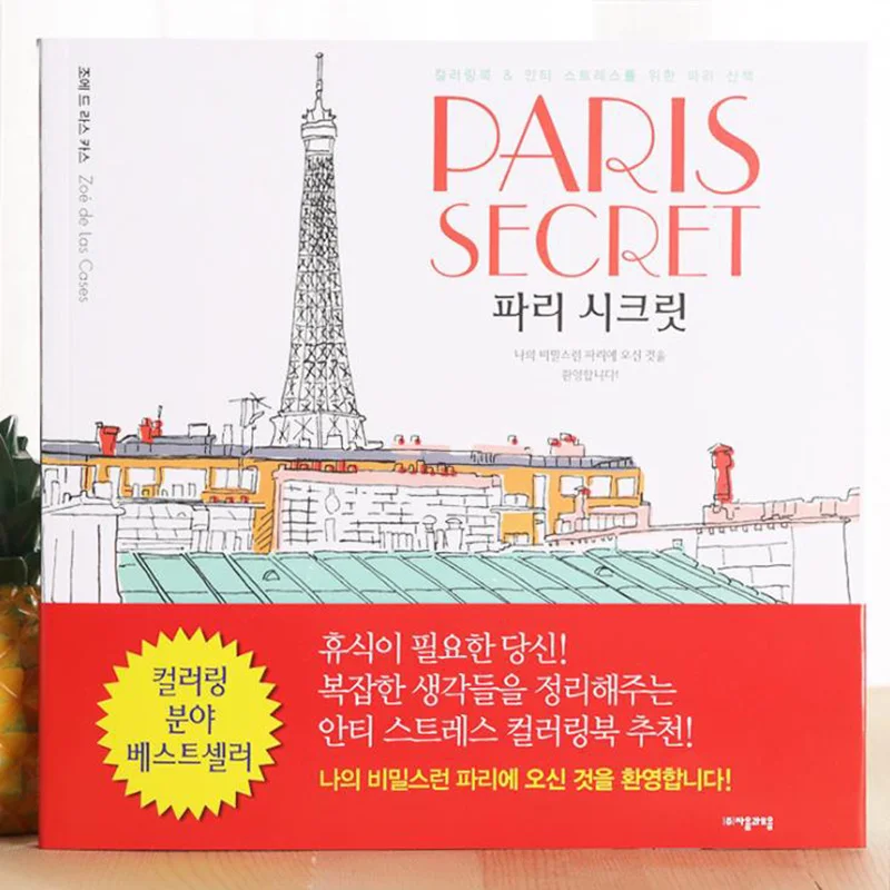 

96 page Paris Secret coloring books for adults kids Relieve Stress Kill Time Graffiti Painting Book libros 25cm x 25cm