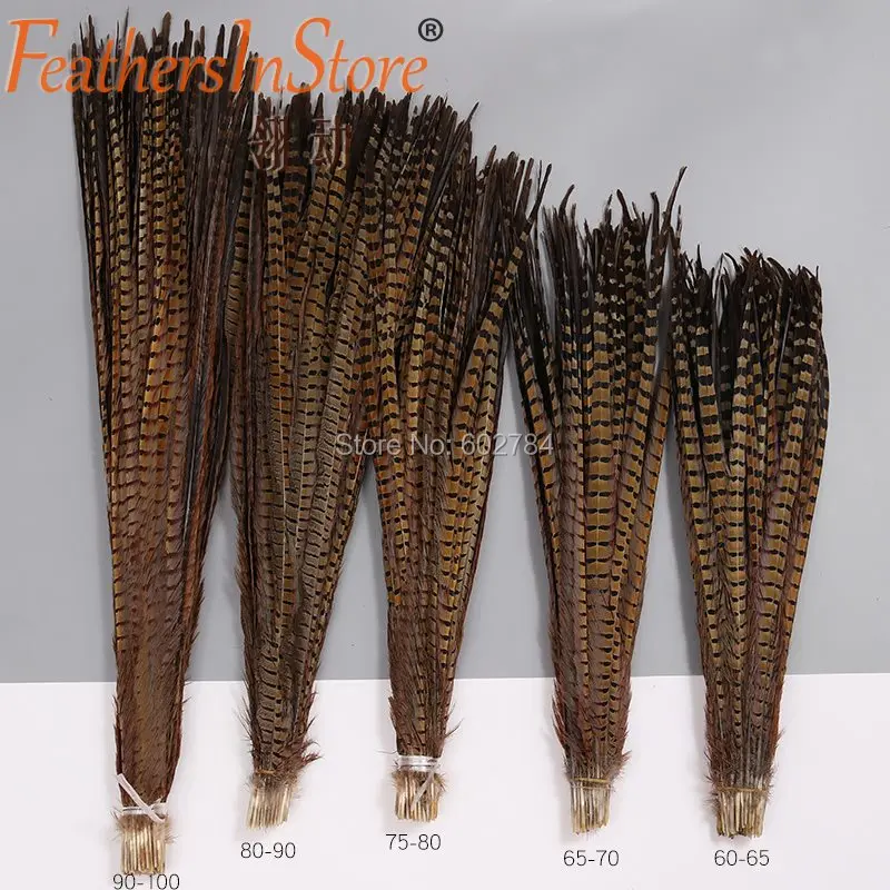 Free Shipping 50pcs 25-70cm 10-28inch Natural Ringneck Pheasant Feather dyed Pheasant tail Feather Carnival Feathers Decoration
Free Shipping 50pcs 25-70cm 10-28inch Natural Ringneck Pheasant Feather dyed Pheasant tail Feather Carnival Feathers Decoration