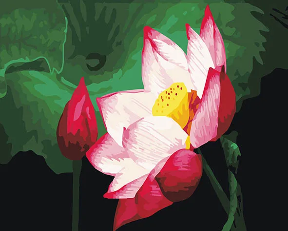 cioioil-C463 holding lotus Painting By Numbers Canvas Painitng Home Wall Art Picture Coloring By Numbers