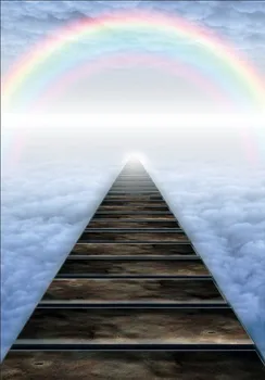 Laeacco Rainbow Backdrops Cloudy Sea Wooden Passage Paradise Baby Portrait Photo Backgrounds Photocall Photo Studio
Laeacco Rainbow Backdrops Cloudy Sea Wooden Passage Paradise Baby Portrait Photo Backgrounds Photocall Photo Studio
