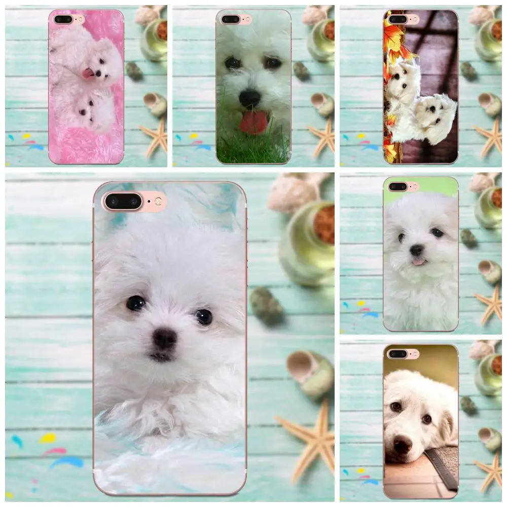 Soft Fashion Cell Phone Case For LG Nexus 5 5X G2 G3 mini spirit G4 G5 G6 K4 K7 K8 K10 2017 V10 V20 V30 Stylus Bichon Frise Dog
Soft Fashion Cell Phone Case For LG Nexus 5 5X G2 G3 mini spirit G4 G5 G6 K4 K7 K8 K10 2017 V10 V20 V30 Stylus Bichon Frise Dog