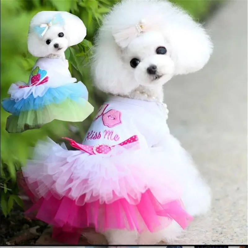 Hot Sale Summer Dog Dress Pet Dog Clothes for Small Dog Wedding Dress Skirt Puppy Clothing Spring Pet Clothes Chihuahua Yorkie
Hot Sale Summer Dog Dress Pet Dog Clothes for Small Dog Wedding Dress Skirt Puppy Clothing Spring Pet Clothes Chihuahua Yorkie