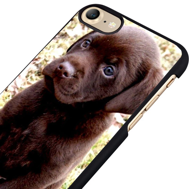 labrador puppy phone case cover for iPhone & ipod touch 2