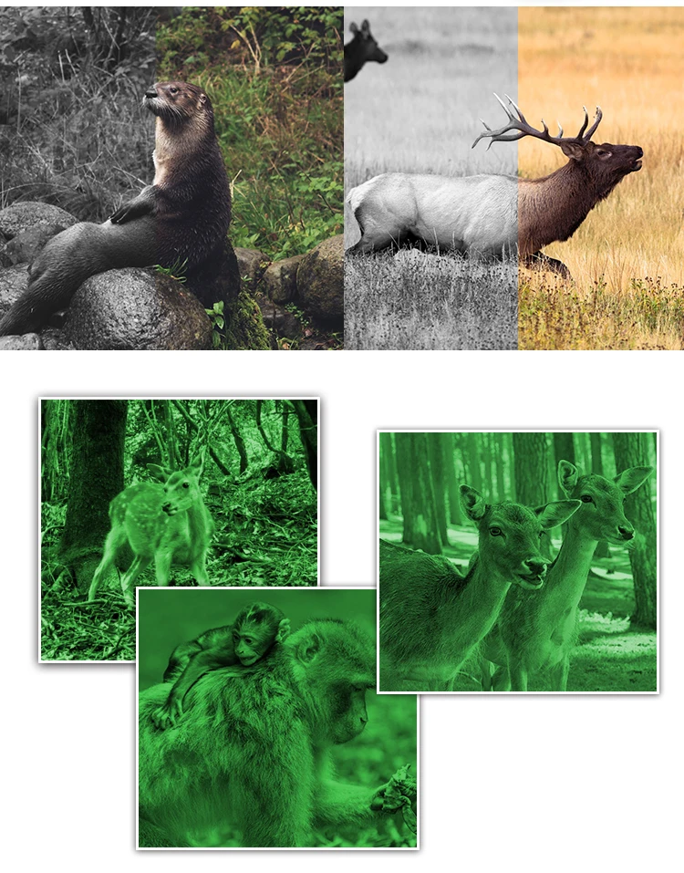 3X50+_10