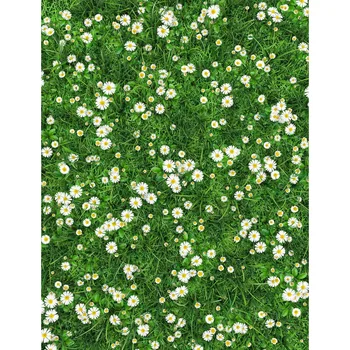 TR photographic backgrounds vine lawn daisy flowers green screen newborns baby vinyl photo backdrops photocall baby shower wood
TR photographic backgrounds vine lawn daisy flowers green screen newborns baby vinyl photo backdrops photocall baby shower wood