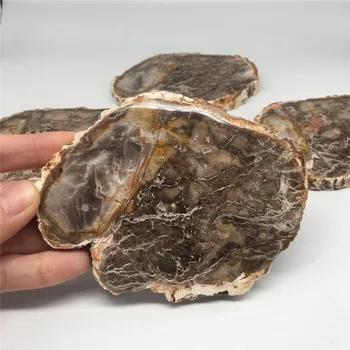 1pcs natural stones and minerals crystal woodstone fossil tree for home decoration wooden tree fossil
1pcs natural stones and minerals crystal woodstone fossil tree for home decoration wooden tree fossil