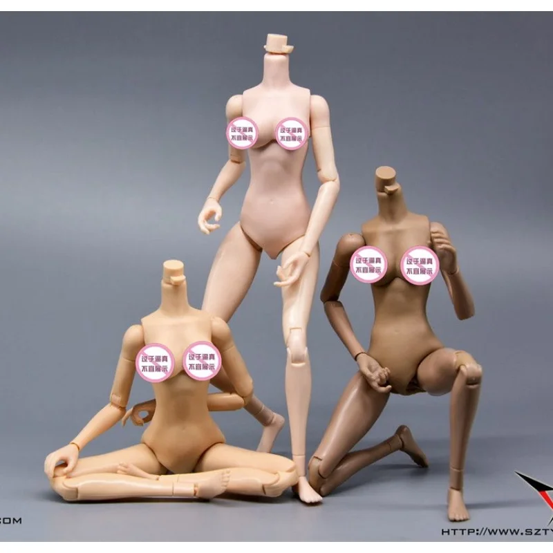 1/6 Scale Female Action Figure Body Collection Figure For Asia Europ Africa Soldier Wom Toy Doll Figurals Model Gift
1/6 Scale Female Action Figure Body Collection Figure For Asia Europ Africa Soldier Wom Toy Doll Figurals Model Gift