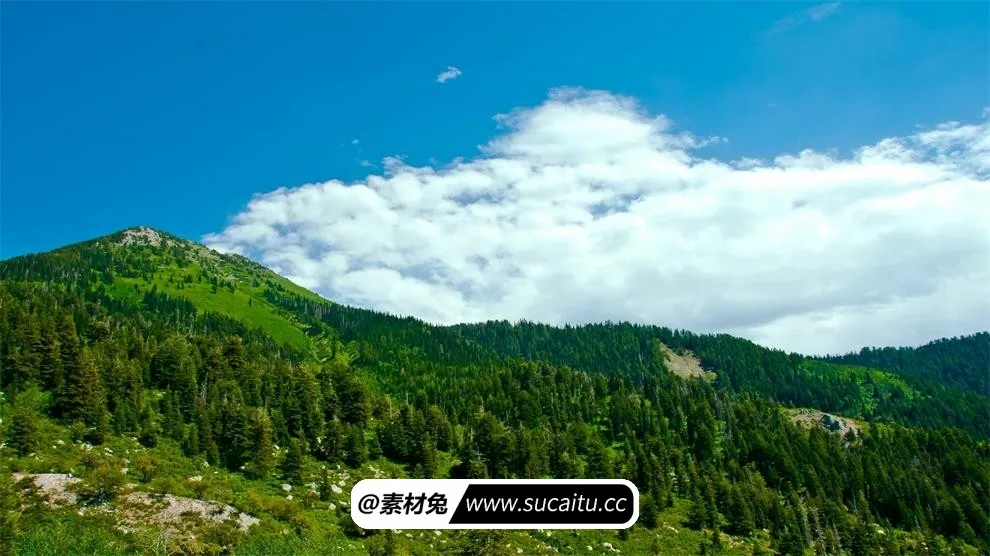远处山峰森林风轻云淡高清实拍视频素材 自然风光 第1张